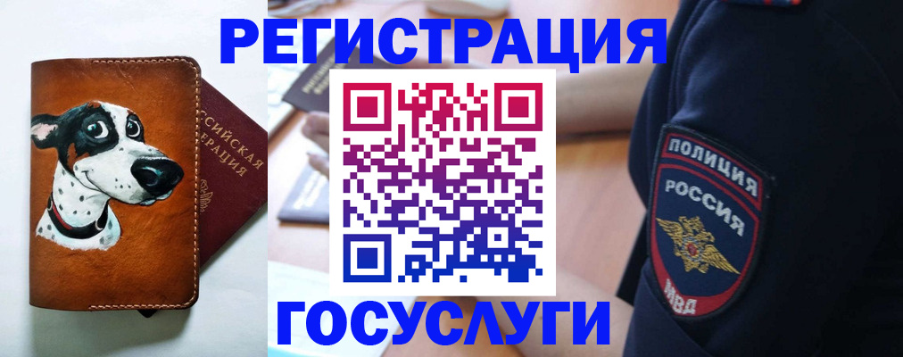 временная регистрация в квартире в Вологодской области
